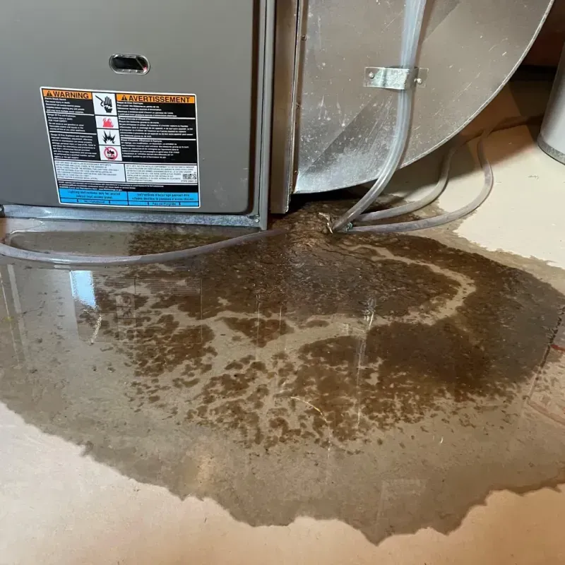 Appliance Leak Cleanup in Daviess County, MO